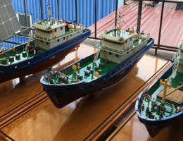 Mô hình tàu dịch vụ nghề cá